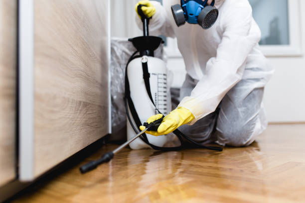 Wildlife Control Services in Parole, MD