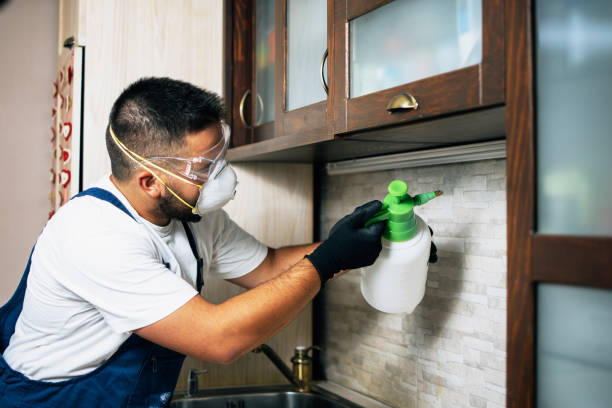 Best Best Pest Control Companies  in Parole, MD