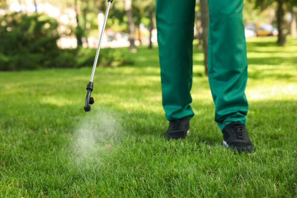 Best Flea Control Services  in Parole, MD