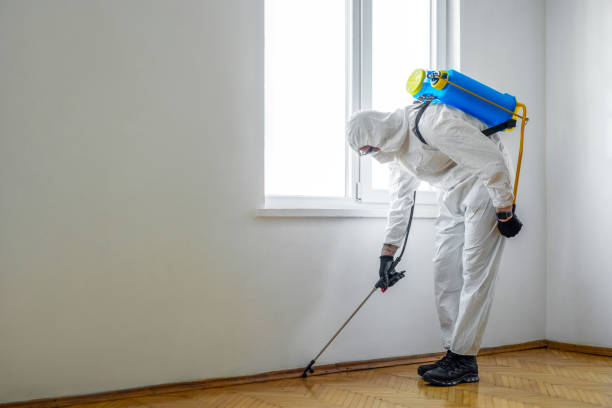 Best Termite Control Services  in Parole, MD