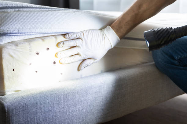 Best Pest Prevention Services  in Parole, MD