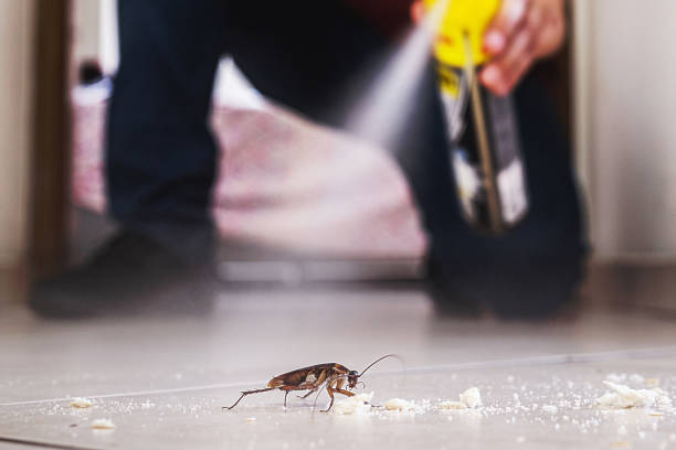 Best Pest Control for Homes  in Parole, MD