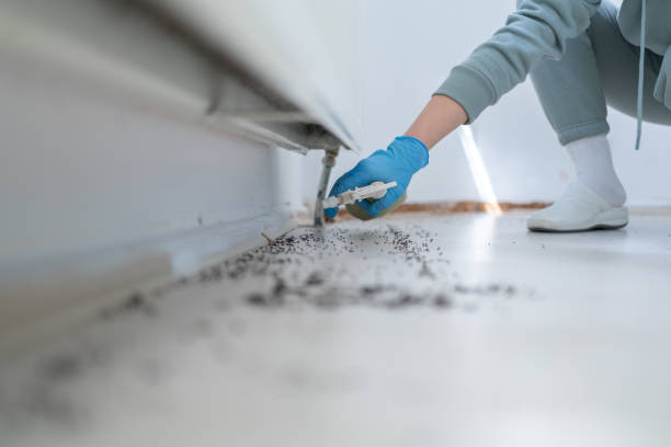 Professional Pest Control in Parole, MD